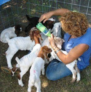 Meet your Posher, Jody